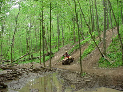 Person on 4-wheeler in Haspin Acres woods